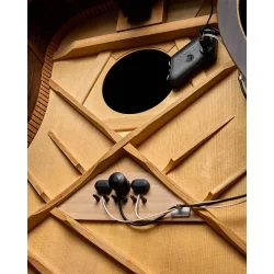 L.R. Baggs HiFi Duet